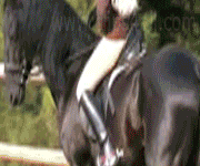 clips4all Riding Ladies Videos