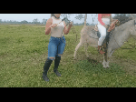 Thalia_and_Adrianna_vs_Donkey