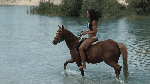 Horse_Pond_2