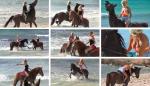 Horse_Surfers