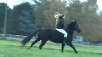 MHK_Working_Horse_2