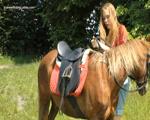 Pony_for_my_Saddle