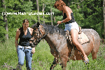 Pony_too_far