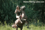 Saddle_Stitch_1