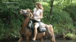 Saddle_Tramp