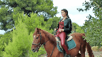 Shades_of_Ruby_1