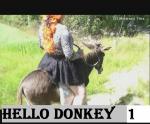 u106HelloDonkey1