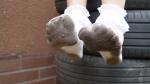 Cutewhitesocksabusing_pics