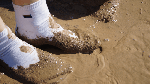 Muddysocks