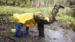 Springplayinyellowoveralls