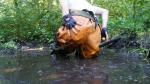 Veryfunnyfishing_pics