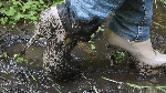 Walkingthroughthemudwithlossofshoes