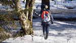 Wintersummerstory