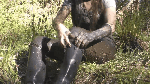 bootsfeetnylons