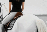 hayanaridingwhitehorse