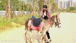 ladymilyridingdonkey