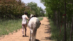 yaduridingwhitehorserelaxation2