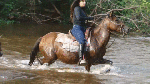 TheGoddessDayanaWorkoutInWater