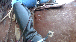 ThePrincessDannaJeansRidingOnColorada
