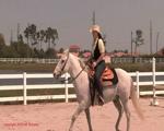 MeggieClothedRide1.11000hd.wmv