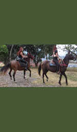 2_HORSES_2_GIRLS