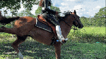 KattyWORKSW_authoritarian_rider