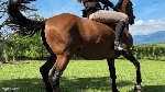 Katty_bareback_part01