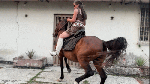 Katty_horse_rider05_2024