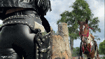 Katty_one_rider_two_horses