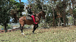 KattyriderdomainS_16_2025