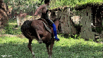 WORK_W_riderGia