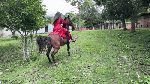 WorkSKattyrider005