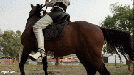 WorkS_Without_stirrupsKatty