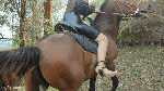 Work_S_Kattypart2_45