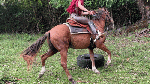 riding_GoddessBelkys_leather