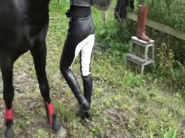 Detailbildansicht