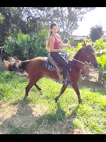 First_training_sessions