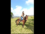 Long_training