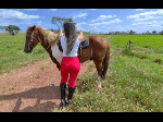 Queen_back