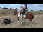 The_return_of_stubborn