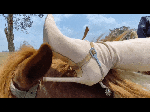 new_release_of_boots