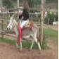 donkey riding clips4all