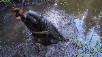 Latexfullwadersandfunmudprooftest_Part2