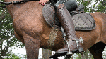 TheGoddess_is_Back_in_total_control_in_RidingBootsBQ