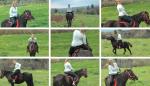 Horseback_Vacation_2