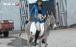 Elas_ridingdonkey