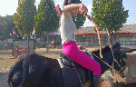 MILAridingdonkeyhardinpink2