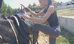 MILAridingdonkeyingreyyogapants