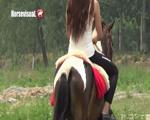 leannabarebackridingponygt02