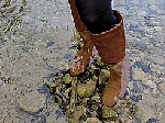 Brownsuederidingbootsglovesinriver